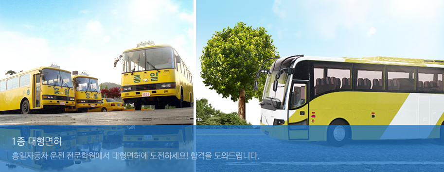 이미지명